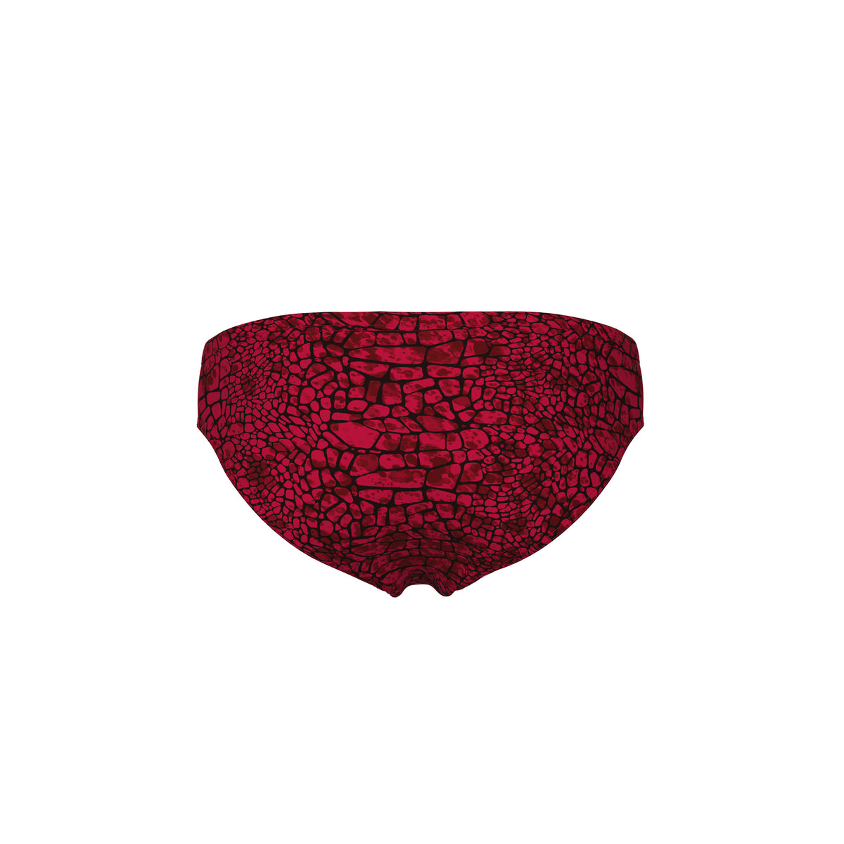 Arena Men's Snakeskin Swim Brief
