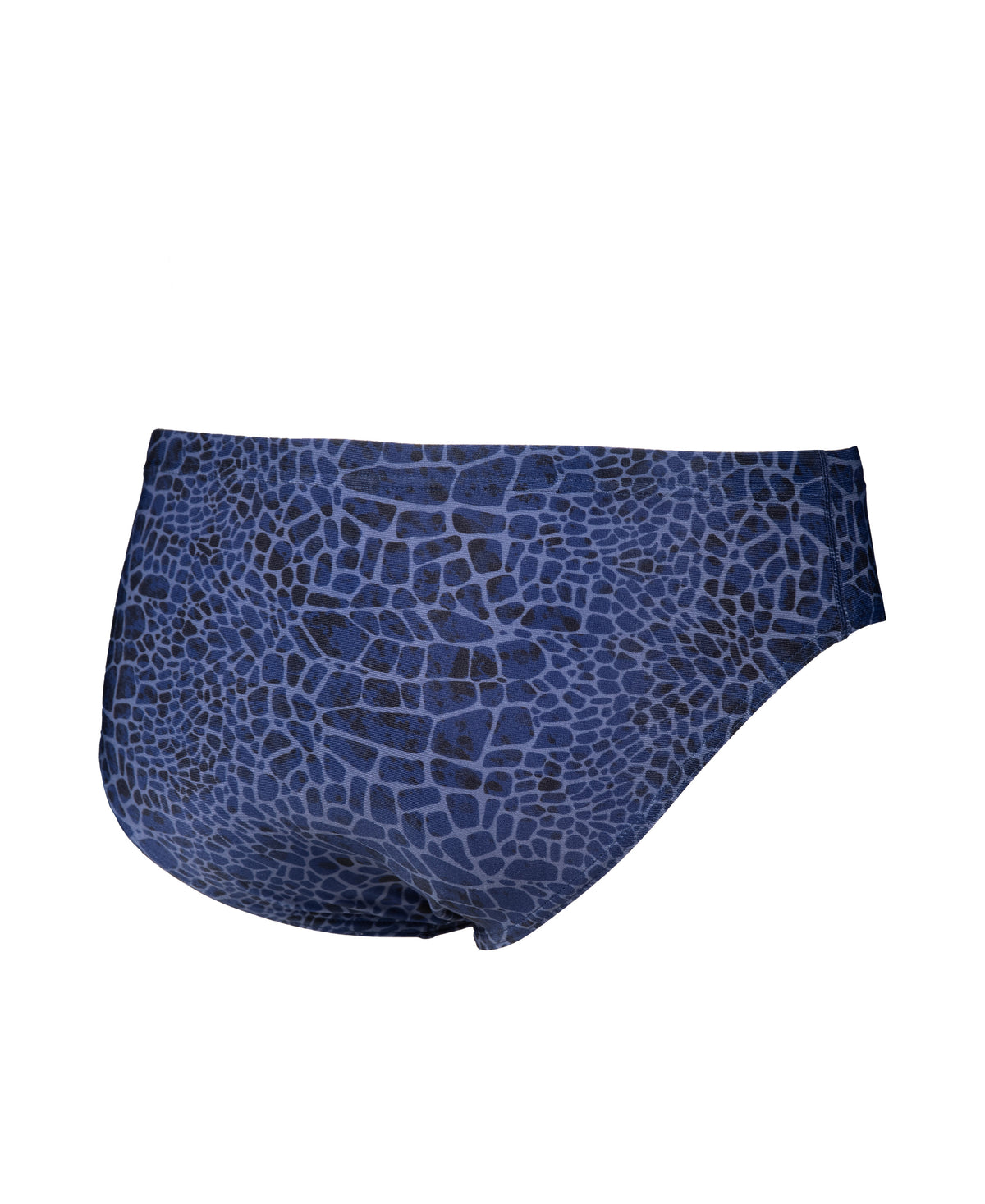 Arena Men's Snakeskin Swim Brief