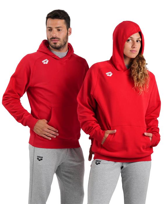 Arena Unisex Team Panel Pullover Hooded Sweatshirt - 26