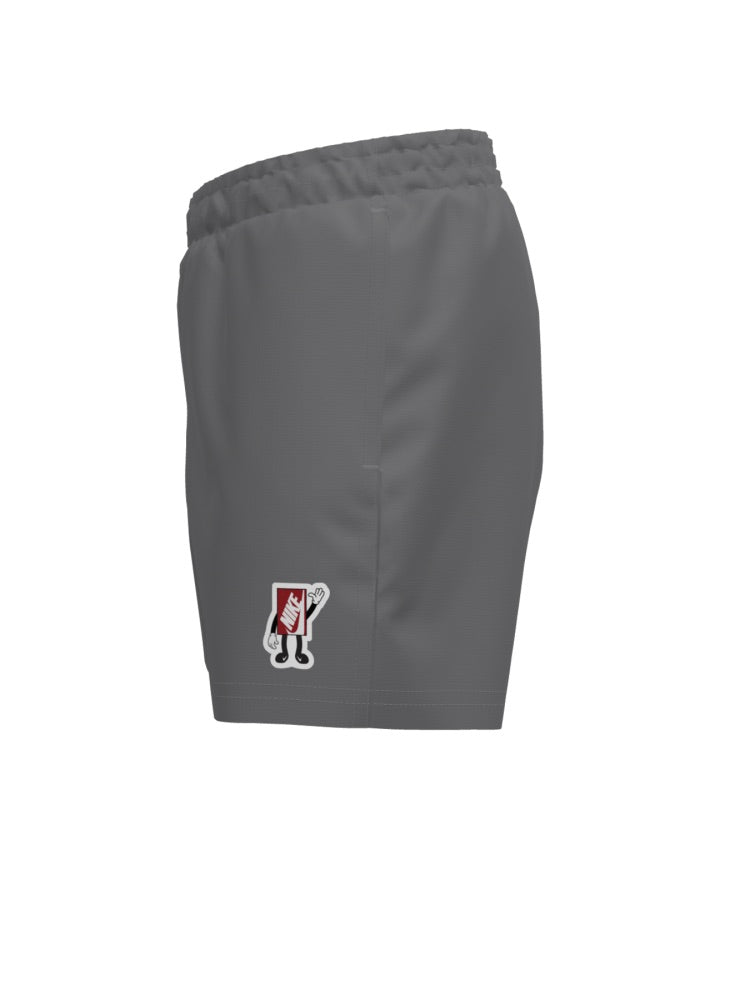 Nike Swim Breaker Big Kids' (Boys') 4" Brief-Lined Volley Short - Cool Grey alternate image 1