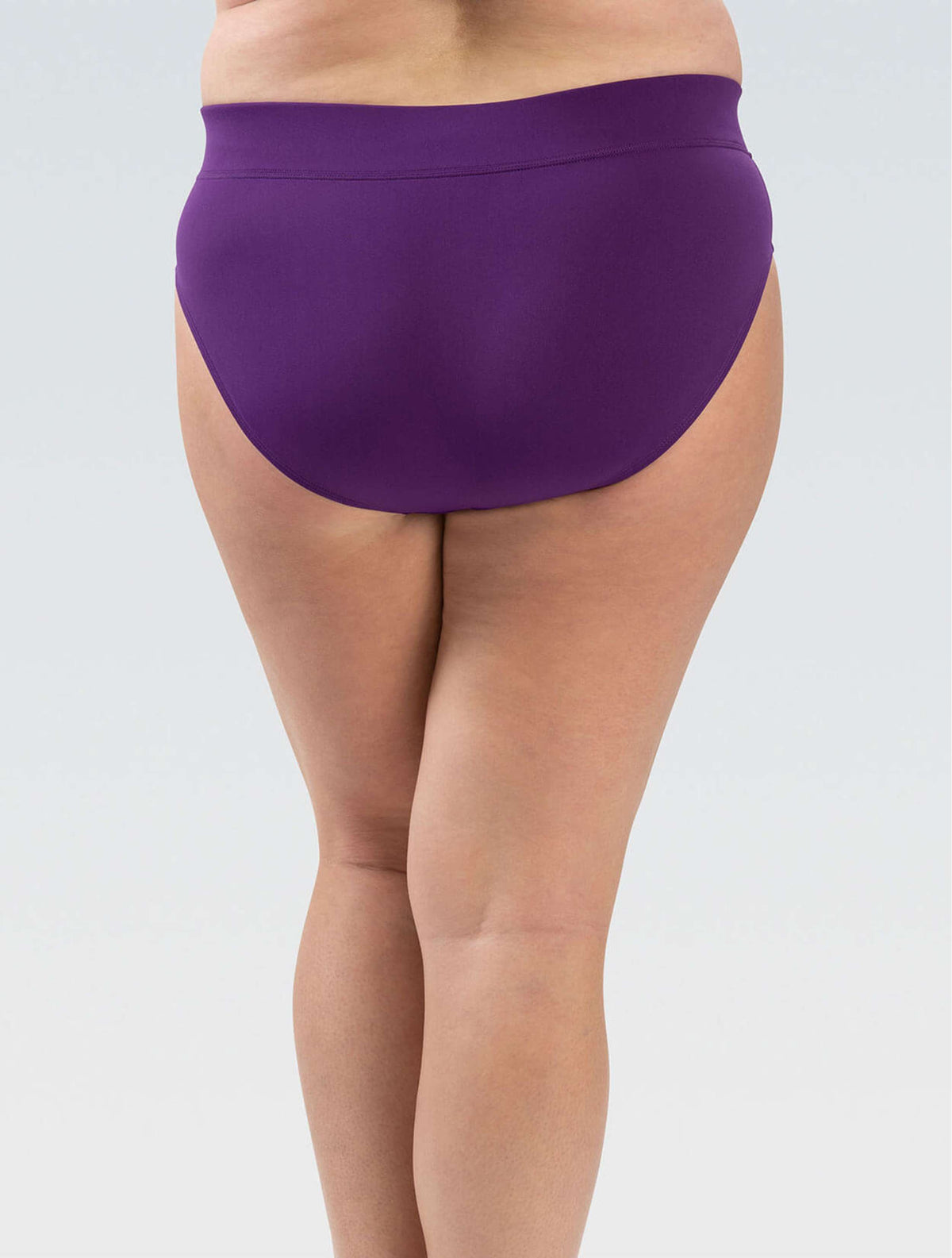 Women's Aquashape Eggplant Moderate Brief - Eggplant back