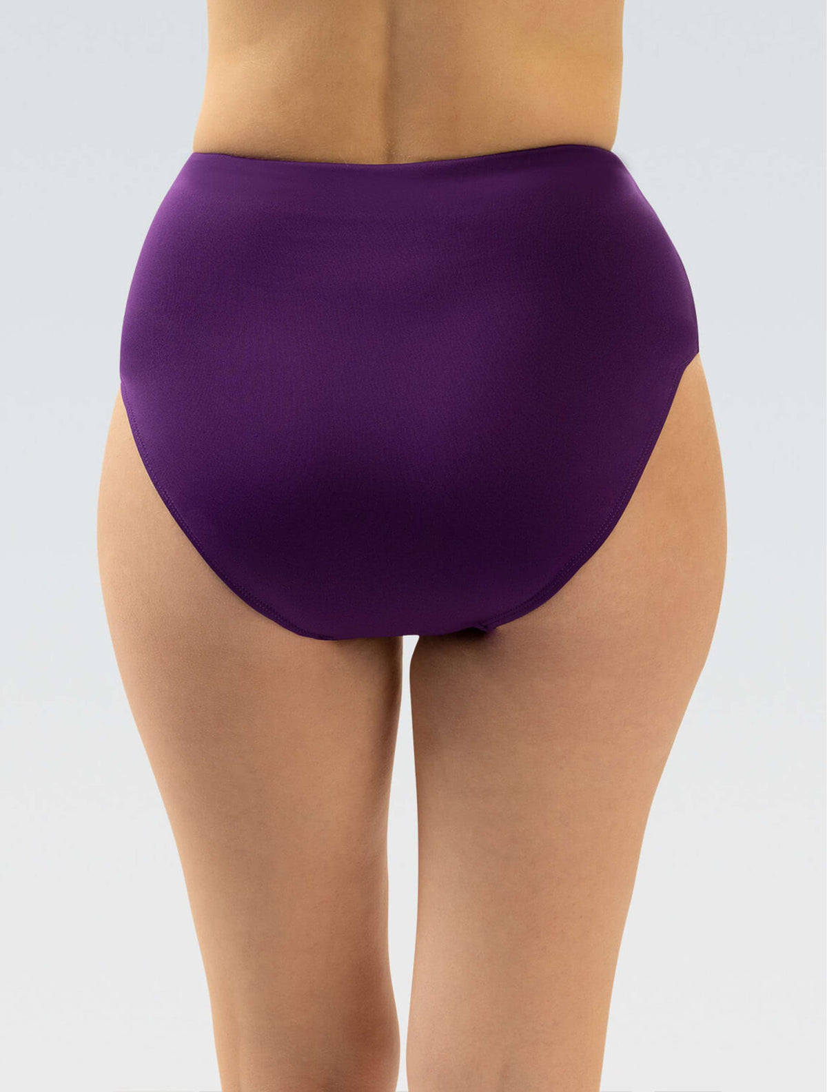 Women's Aquashape High-Waisted Contemporary Brief: Amethyst - High-Waisted back